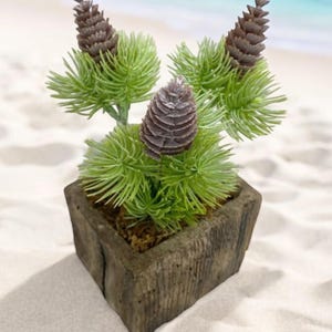 Pinecone Concrete Wood Box Planter