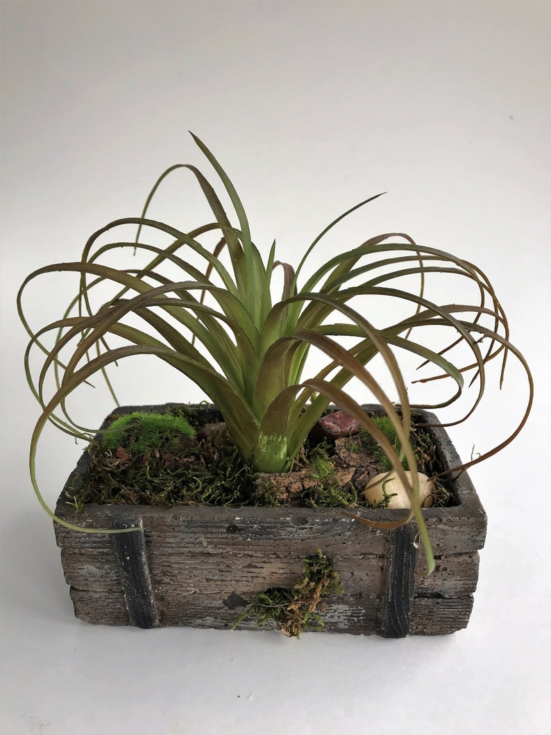 Artificial Air Plant Concrete Crate Arrangement Faux Etsy