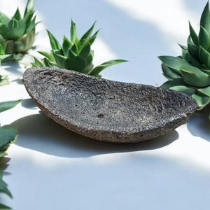 May include: A dark gray, oval-shaped ceramic dish with a rough, textured surface. The dish is sitting on a white surface with green succulents in the background.