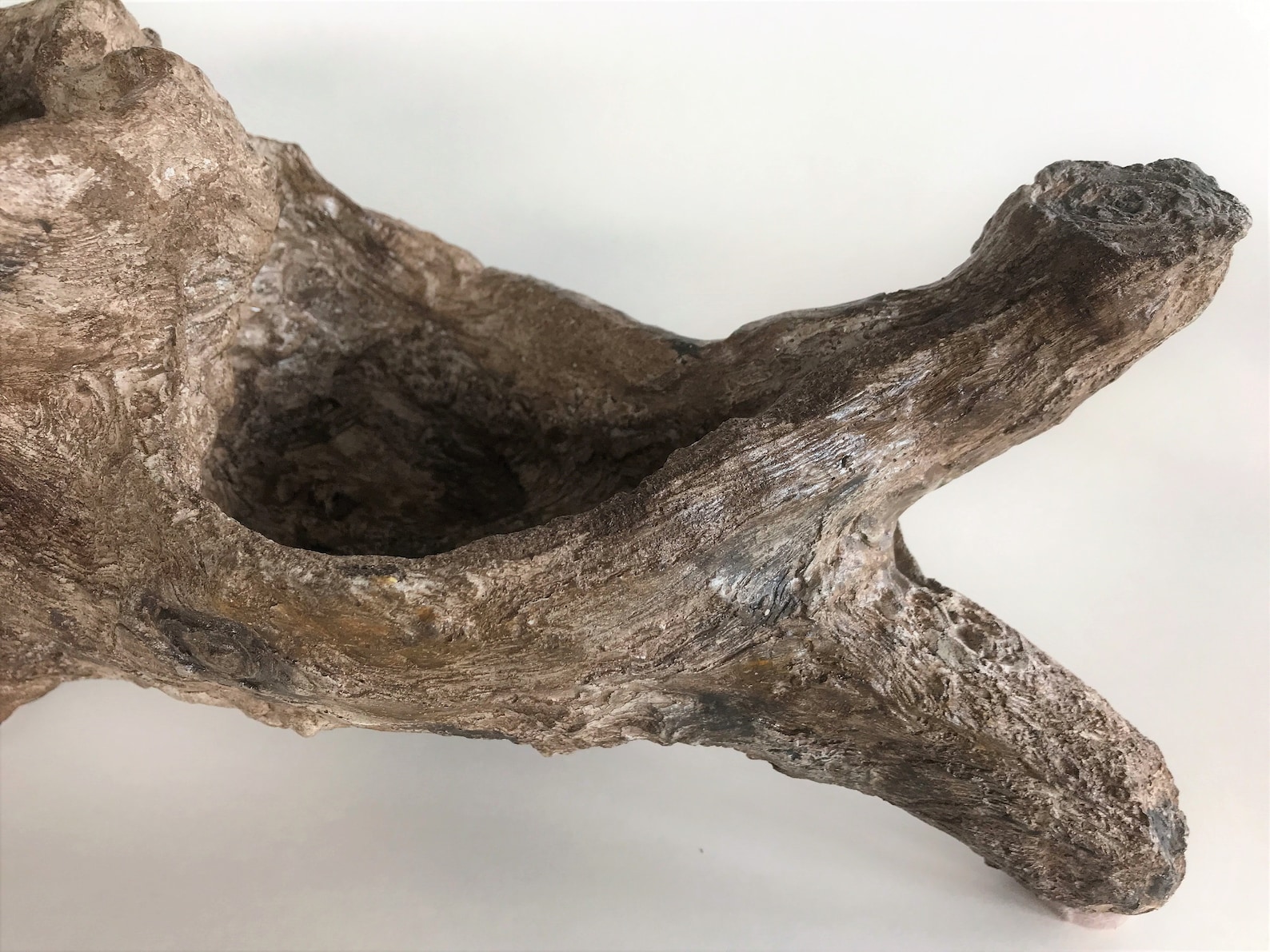 Faux Driftwood Branch Planter Concrete Driftwood Tree Branch Etsy