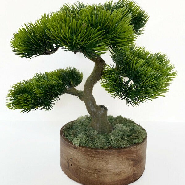 Artificial Bonsai Etsy