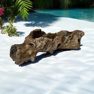 May include: A weathered, brown, wooden log planter with a hollowed-out center. The planter is sitting on a white sandy surface.