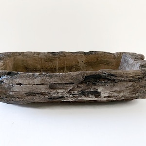 May include: A rectangular, brown, concrete planter with a rough, textured surface that resembles a piece of driftwood.