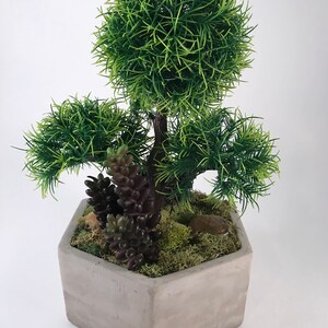 Bonsai Ball Planter, Bonsai Planter, Bonsai, Artificial Succulent Arrangement