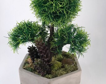 May include: A hexagonal gray concrete planter with a faux green bonsai tree and a succulent plant. The bonsai tree has three round green tops.
