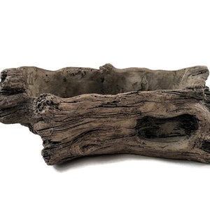 May include: A gray concrete planter shaped like a tree trunk with a rectangular opening for planting. The planter has a rough, textured surface and a natural wood-like appearance.