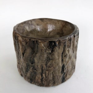 Tree Bark Planter, Tree Bark Pot, Succulent Planter, Succulent Pot, Concrete Planter, Unique Concrete Planter
