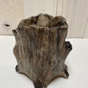 May include: A small, decorative planter shaped like a tree stump. The planter is made of a textured, brown material with a rough, weathered appearance. The interior is a lighter color, contrasting with the darker exterior. Ideal for small plants or succulents.