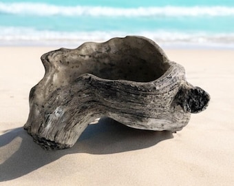 May include: A weathered, gray driftwood planter with a natural, organic shape. The hollowed-out center is visible, and the wood's texture is prominent. The planter sits on a sandy beach with a turquoise ocean and blue sky in the background.