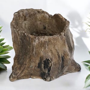 May include: A brown, tree stump-shaped planter with a rough, textured surface. The planter has a hollowed-out center and a naturalistic appearance, suitable for small plants or succulents. The planter is made of a durable material.