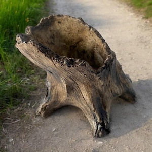 May include: A large, hollowed-out tree stump planter with a natural, weathered appearance. The planter is brown with dark accents and sits on a dirt path. The open top suggests it's designed for plants or decorative items.
