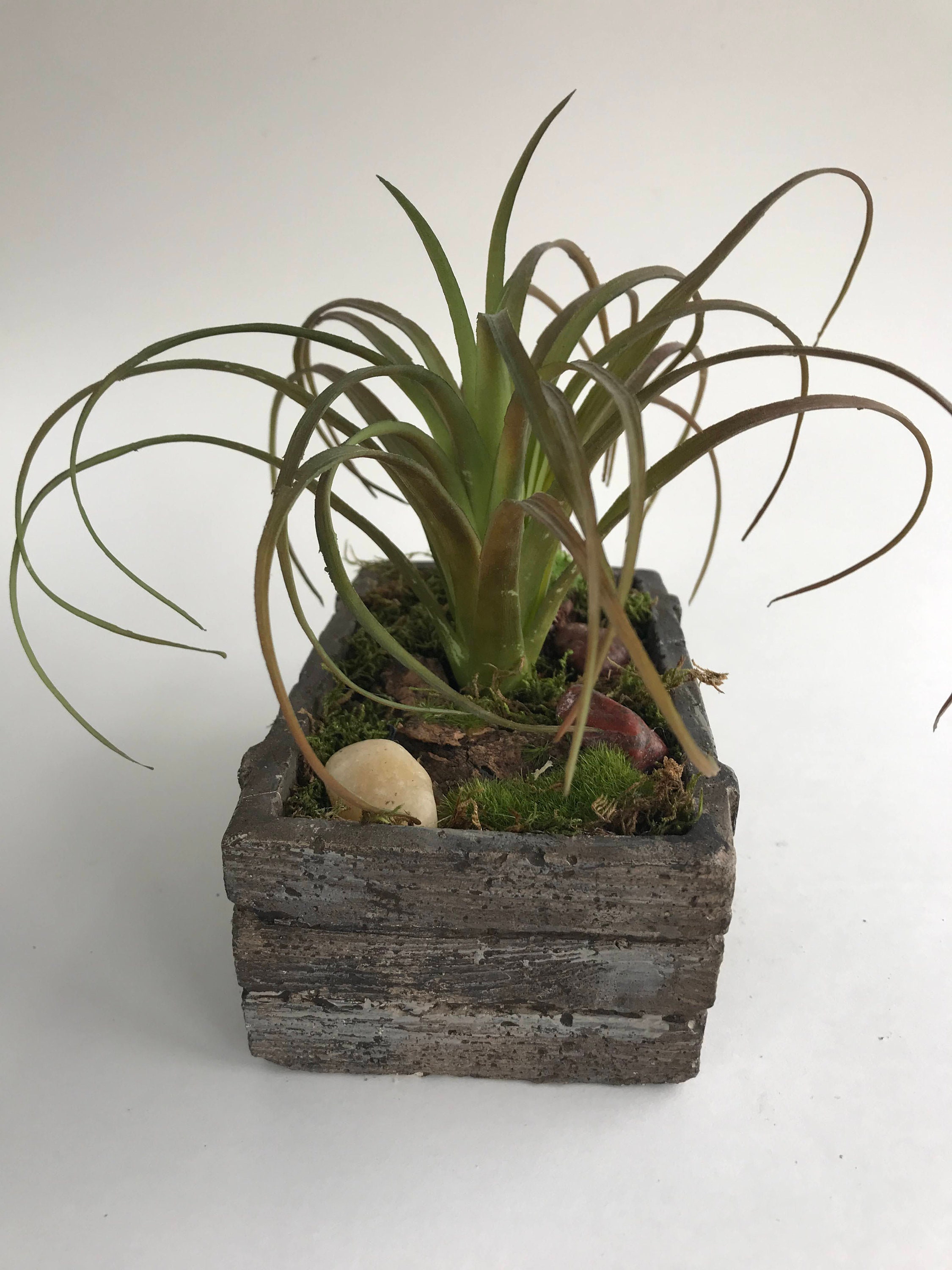 Artificial Air Plant Concrete Crate Arrangement Faux Etsy
