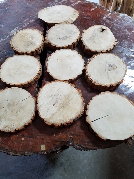 Sale Eight 8 Sassafras Round Slices 1 Inch Thick 