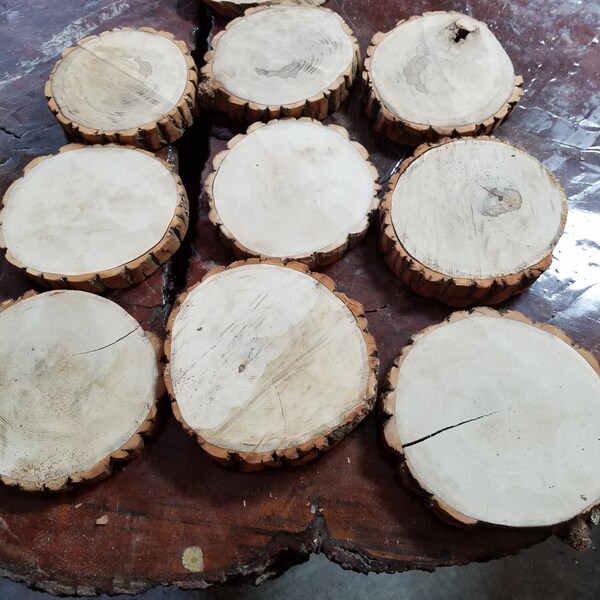 Sale*** Sassafras round slices 25*   5 - 6 inch