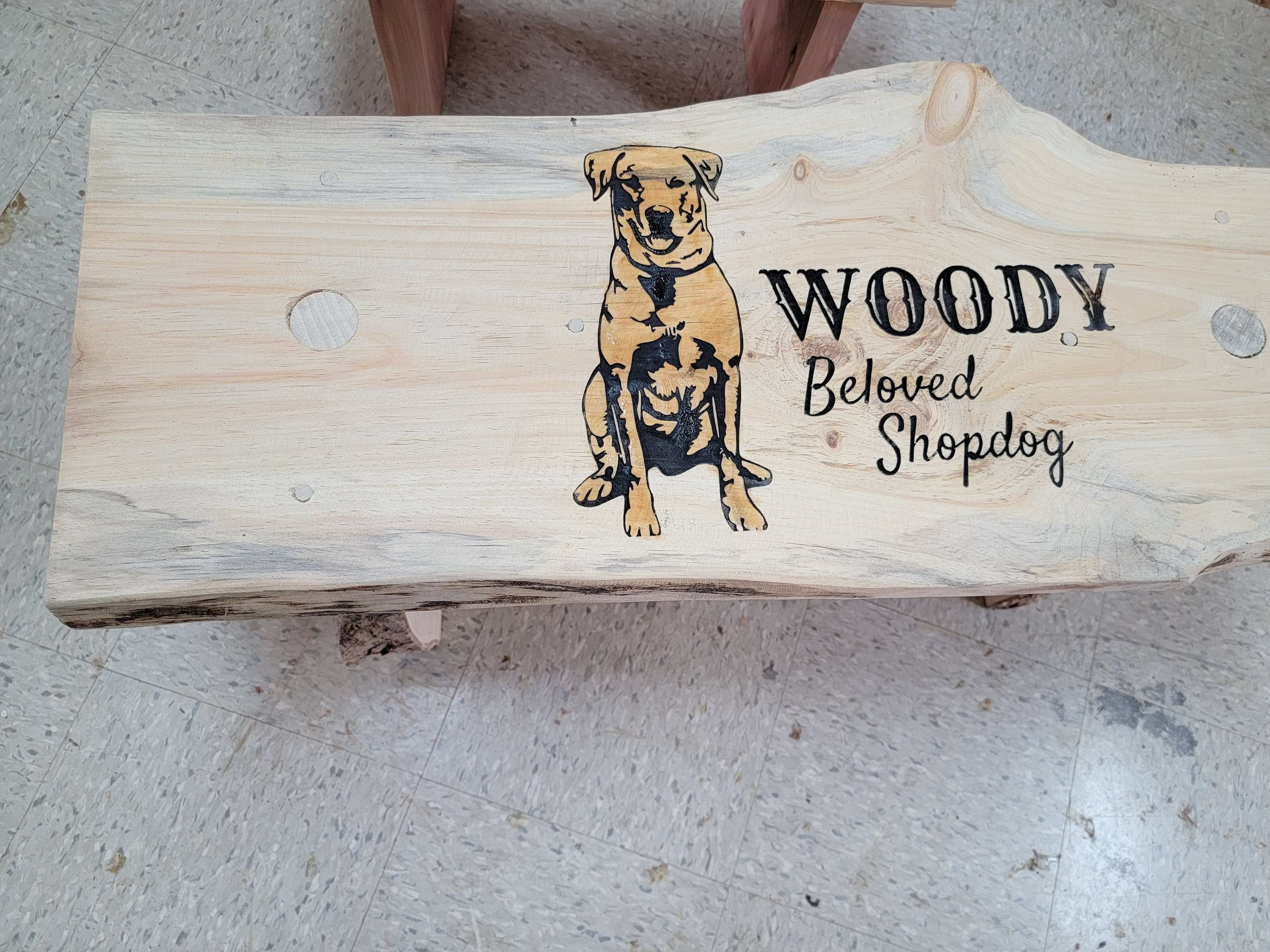 Pet Memorial Bench perfect for the Garden or Entryway Dog Etsy