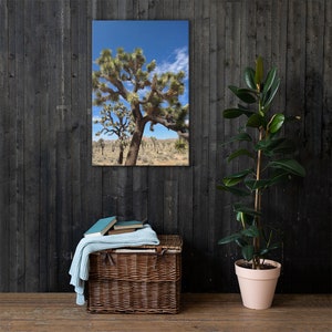 Joshua Tree Canvas Print, desert wall art, desert print, desert decor