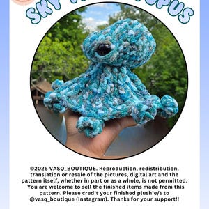 May include: A crocheted octopus plushie named Sky the Octopus, crafted from variegated yarn in shades of blue, teal, and grey. The plushie features a rounded head, eight curled tentacles, and large, dark, glossy safety eyes. Text reads Sky the Octopus and No Sew Pattern.