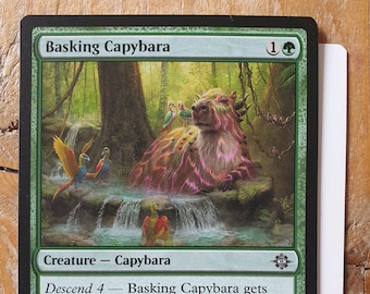 Basking Capybara AP - Etsy Canada Basking Capybara AP - Etsy Canada