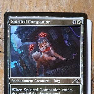 Spirited Companion PROMO AP