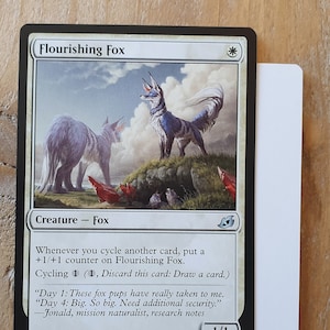 Flourishing Fox AP