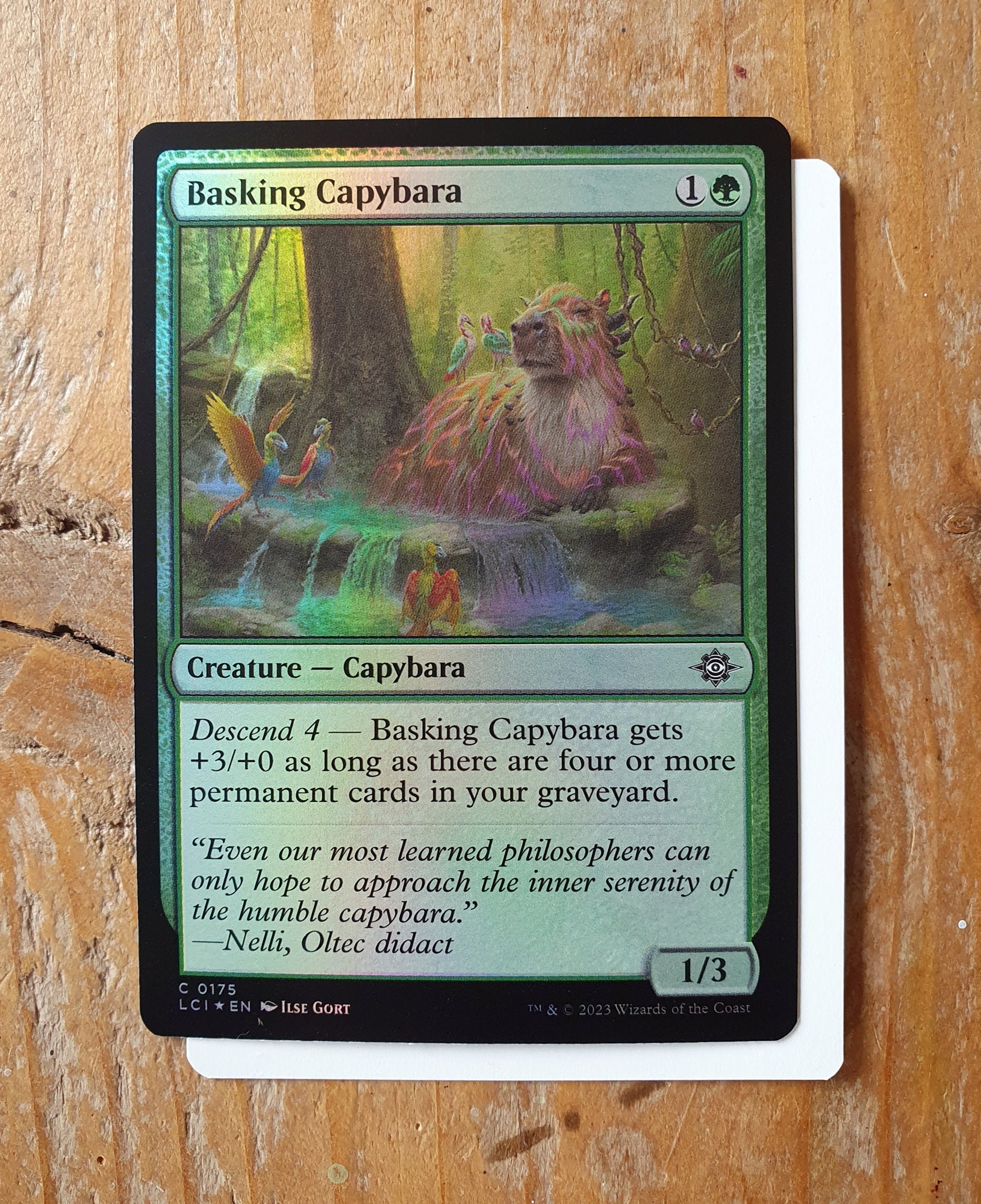 capybara mtg card Amazon.com: Aquarius Capybara Bonanza Card Game – Fast-Paced Family Party  Card Game for Kids Teens and Adults, Strategy & Chaos Gameplay, Ages 8+,  Capybara Merchandise and Collectibles : Toys & Games main image 1