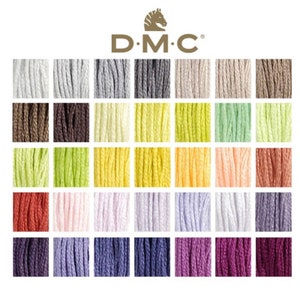 DMC Floss Color Chart With Actual Thread Sample Photos Has 581 Color Cards  is Printable and Digital Files pdf and Png 