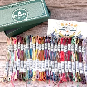 May include: A selection of multi-coloured embroidery floss skeins, with a green box labelled "Bibliotheque D.M.C." in the background. The floss includes shades of pink, blue, green, and yellow. A card with floral illustrations is also visible.