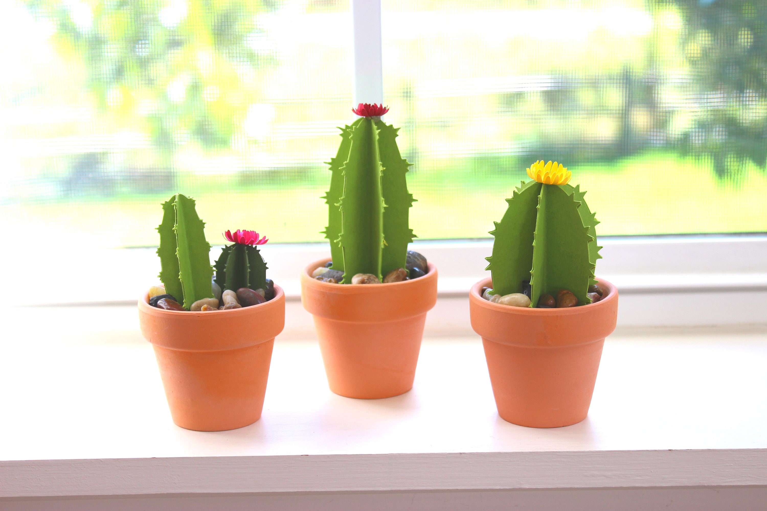 Terra Cotta Paper Cactus Mini Pots Faux Cacti Easy Care Etsy