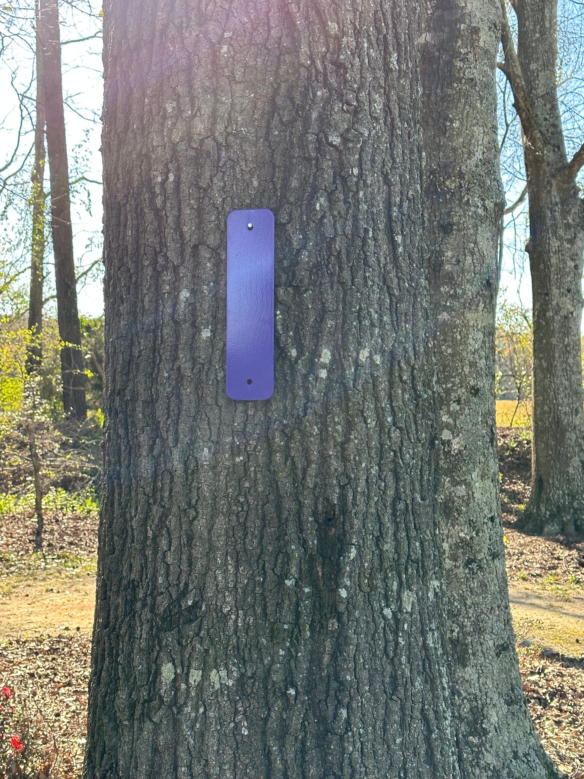 NO Trespassing! Purple State Laws - Property Markers- Metal- Powder Coated- 10 Markers