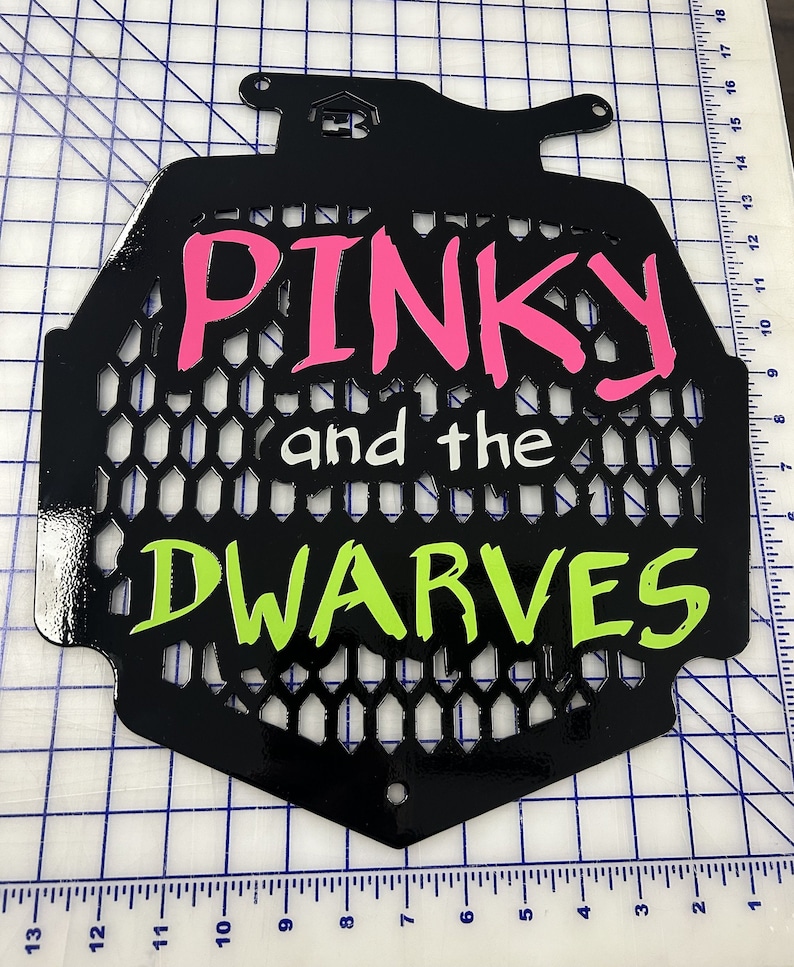 K&ouml;nnte beinhalten: Schwarzes Metallschild mit einem Wabenmuster. Das Schild tr&auml;gt die Aufschrift "PINKY and the DWARVES" in rosa und gr&uuml;ner Schrift.
