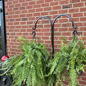 Double Very Sturdy Shepherd Hook - Plant /Bird Feeder/ Wind Chime hanger 60&quot; Tall Metal Powder Coated Your Color Choice four Display Options