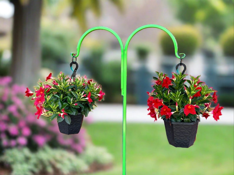 Double Very Sturdy Shepherd Hook Plant /Bird Feeder/ Wind Chime hanger 60 Tall Metal Powder Coated Your Color Choice four Display Options afbeelding 6