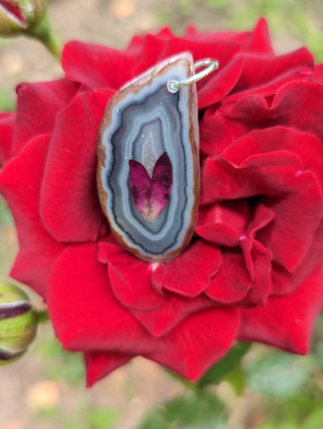 Rose Apate Real Pressed Rose Petal Botanical Agate Crystal Necklace - Etsy