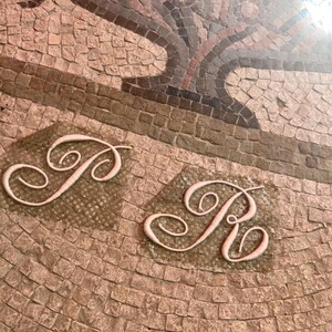 May include: A close-up of a mosaic floor with a tree design. The floor is made of small, square tiles in shades of brown, gray, and pink. The tree is made of darker tiles and has a curved, flowing shape. The letters "PR" are written in white on the floor.