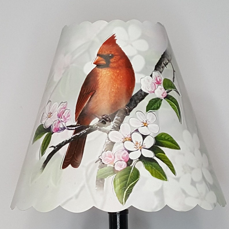 May include: A white lampshade with a scalloped edge features a red cardinal perched on a branch with white and pink blossoms. The background is a light gray with a subtle floral pattern.
