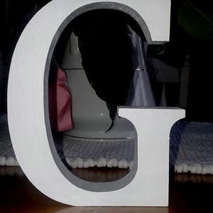Paquete de 4 letras de madera blancas independientes, letras grandes de 13 cm, seleccione sus propias letras, oferta de paquete múltiple, letras blancas