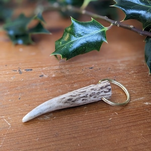 May include: A white antler keychain with a gold ring. The antler is polished and has a natural pattern.