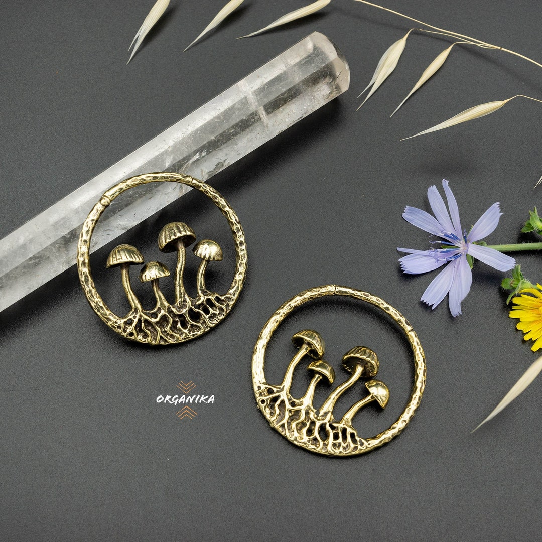 Mushroom Ear Weights, Ear Hangers, Brass Ear Stretchers, Clickers 2mm