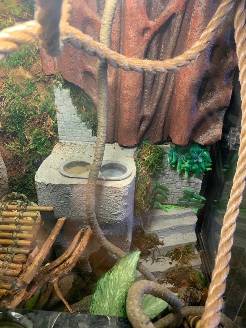 Crested Gecko Terrarium Background With Hiding Spot and Etsy