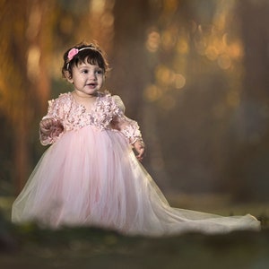 Baby pink dress, Princess dress, Flower girl dress, Tutu Dress, Christmas dress, First Birthday dress