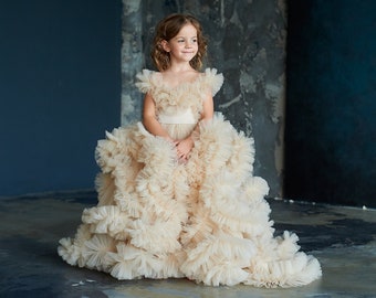 Beige tulle flower dress, Girls dress for a photo shoot, Girls dress for a birthday party, Tulle dress with train