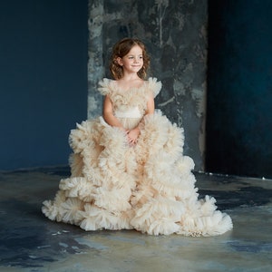 Beige tulle flower dress, Girls dress for a photo shoot, Girls dress for a birthday party, Tulle dress with train