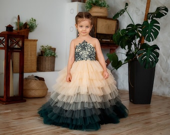 Ombre flower girl dress, Lace Pageant Dress,  Tulle ball gown , Princess dress, Party dress, Tiered baby tutu dress