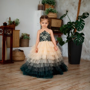 Ombre flower girl dress, Lace Pageant Dress,  Tulle ball gown , Princess dress, Party dress, Tiered baby tutu dress