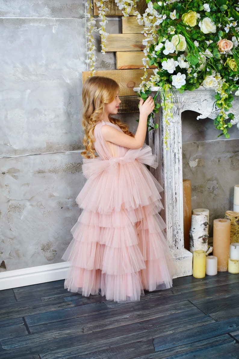 Flower girl dress Dress for girls Tutu dress Baby light pink dress Christmas dress Party dress First Birthday dress Princess dress