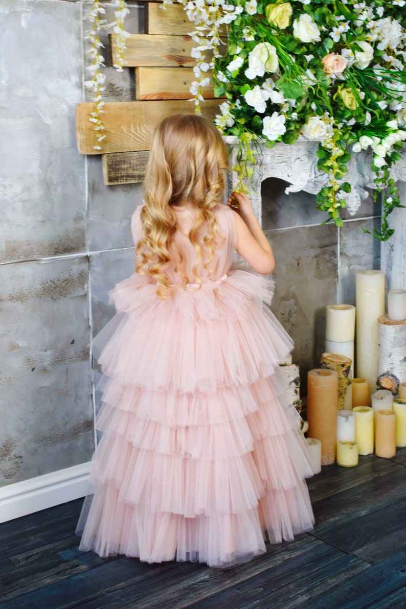 Flower girl dress Dress for girls Tutu dress Baby light pink dress Christmas dress Party dress First Birthday dress Princess dress