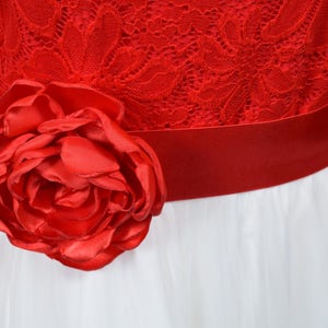 May include: A red satin flower embellishment with a red satin ribbon belt on a white tulle skirt.