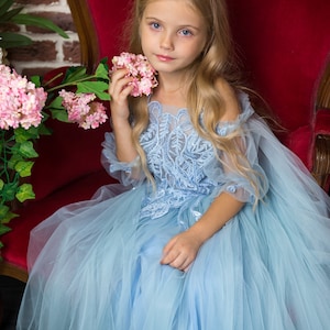 Blue Princess Dress First Birthday Dress Blue Dress Flower - Etsy