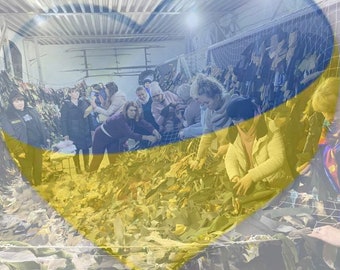 Digital file Ukraine, pray for Ukraine, Ukrainian women now,  I stand with Ukraine, solidarity with Ukraine