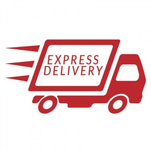 Express Delivery